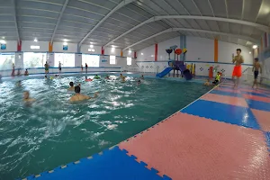 4 Seasons Swimming Pool. image