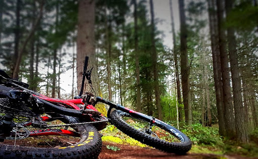 Bicycle Store «Pacific Bike and ski», reviews and photos, 510 228th Ave NE, Sammamish, WA 98074, USA