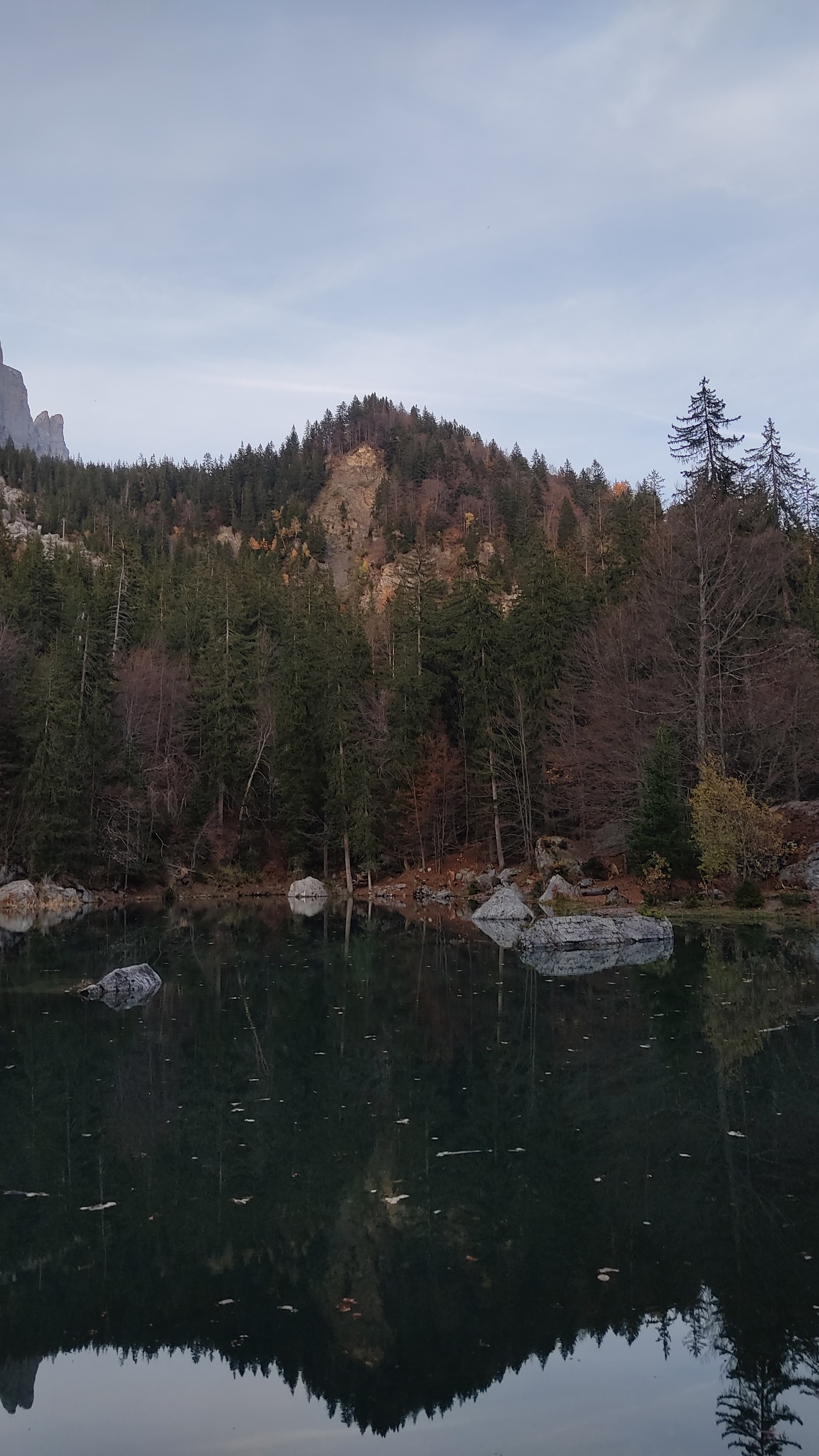 Photo n° 1 de l'avis de Eric.e fait le 01/11/2022 à 18:35