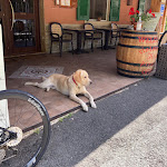 Photo n°1 de l'avis de Gerard.o fait le 11/09/2022 à 18:20 sur le  Ristorante Pizzeria Rita à Campore, Maissana