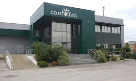 Cantoliva, SA