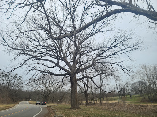 Park «Seneca Park», reviews and photos, 3151 Pee Wee Reese Rd, Louisville, KY 40207, USA