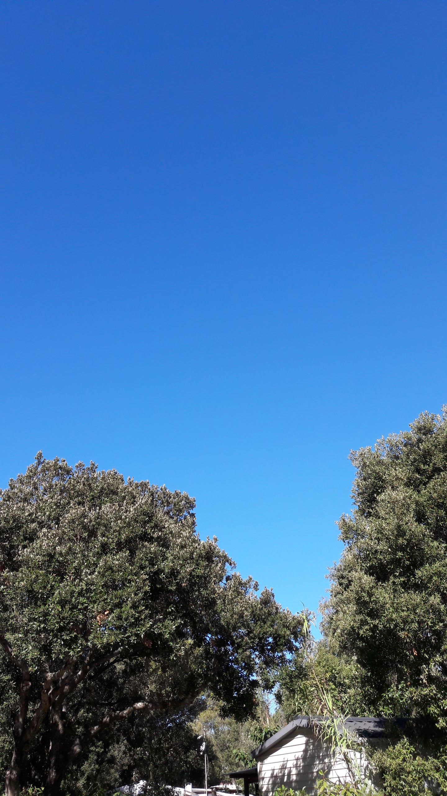 Photo n° 3 de l'avis de Julien. fait le 25/08/2016 à 04:56