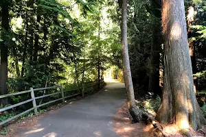 North Creek Trail image