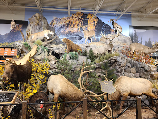 Outdoor Sports Store «Field & Stream», reviews and photos, 24600 Katy Fwy Ste 1100B, Katy, TX 77493, USA