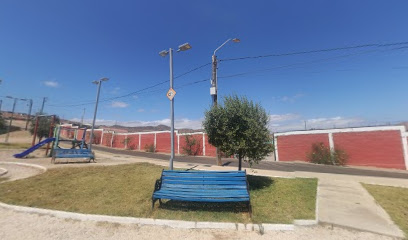 Cementerio de Huasco
