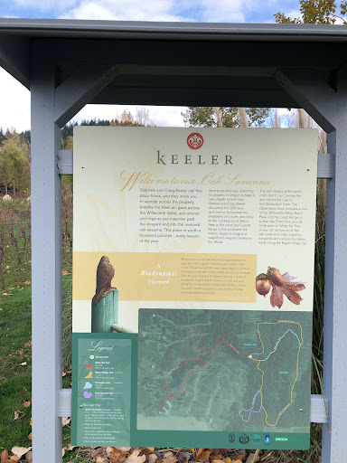 Vineyard «Keeler Estate Vineyard», reviews and photos, 5100 SE Rice Ln, Amity, OR 97101, USA
