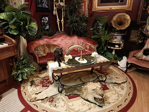 Explore eagle feather tattoo ideas, creative tattoo ideas in Asheville, available at Dark and Deviant Oddities