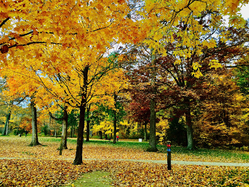 Nature Preserve «Captain Daniel Wright Woods Forest Preserve», reviews and photos, 24830 N St Marys Rd, Mettawa, IL 60045, USA