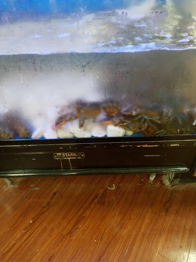 Supermarket «Farm Fresh», reviews and photos, 353 Chatham Dr, Newport News, VA 23602, USA