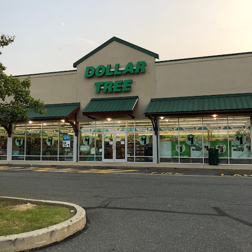 Dollar Store «Dollar Tree», reviews and photos, 220 Crossing Blvd, Elverson, PA 19520, USA