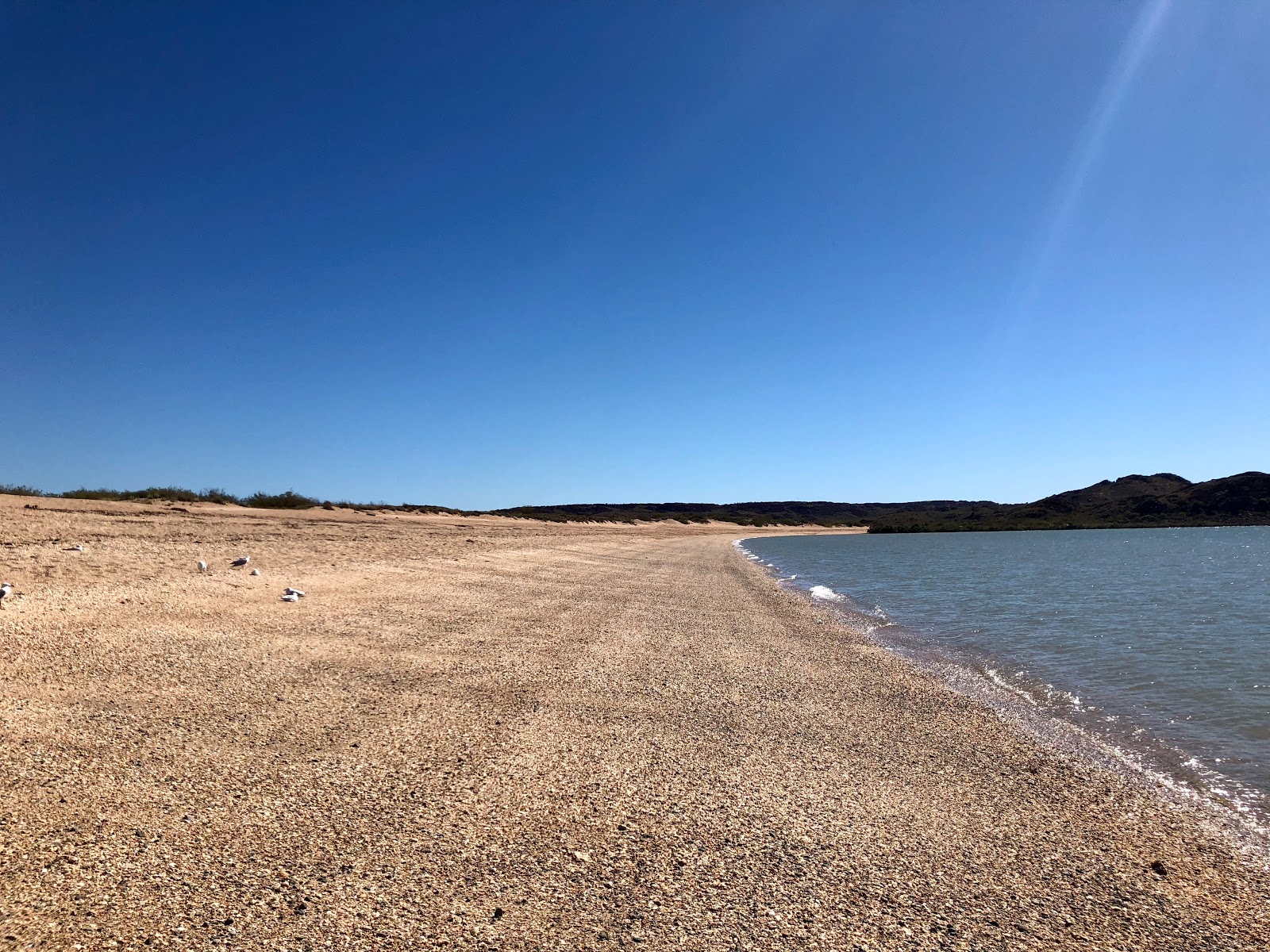 Φωτογραφία του Hearson's Cove με ευρύχωρος κόλπος
