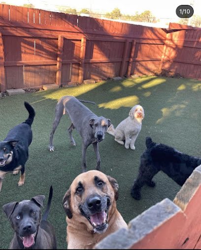 Pleasant Paws "Inn the Dog House"