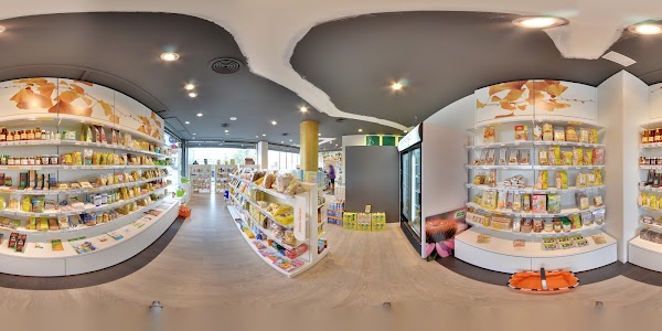 Imagen de Ginkgo (5 de 11)
