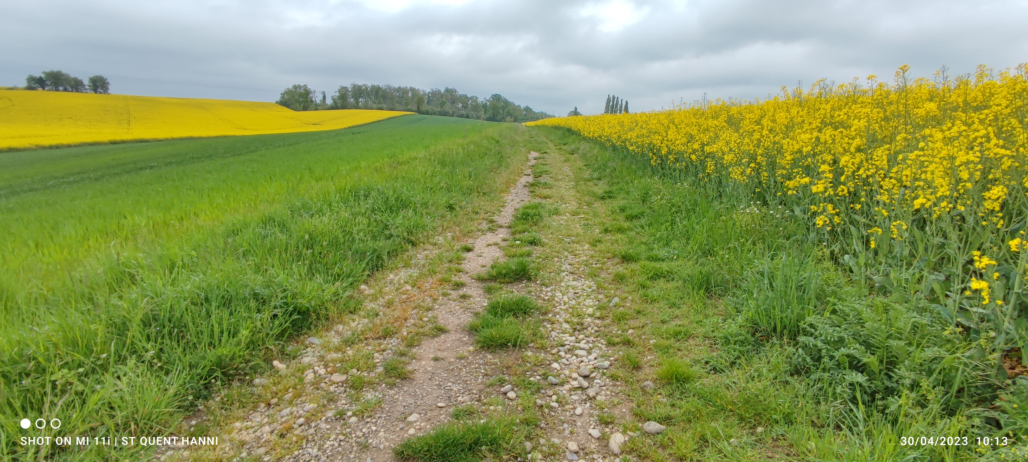 Photo n° 8 de l'avis de Michel.A fait le 10/05/2023 à 13:23