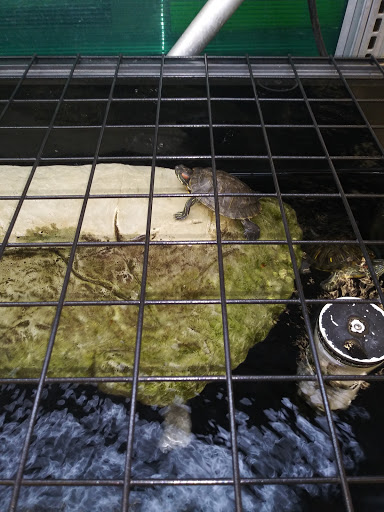 Pet Supply Store «Petco Animal Supplies», reviews and photos, 17930 Halsted St, Homewood, IL 60430, USA