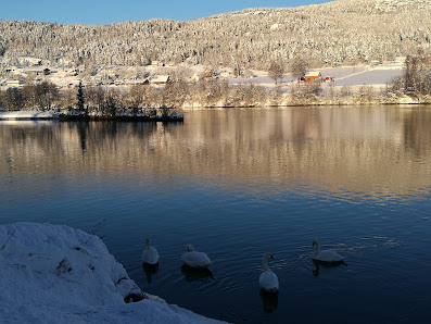Temte Gård og Bygdesamling Horgen Søndre 10, 3055 Krokstadelva, Norge