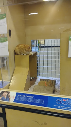 Pet Supply Store «PetSmart», reviews and photos, 2718 Legends Pkwy, Prattville, AL 36066, USA