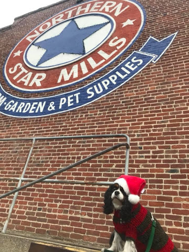 Pet Supply Store «Northern Star Mills», reviews and photos, 510 Esplanade, Chico, CA 95926, USA