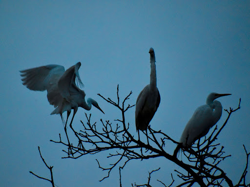 Nature Preserve «Woodbridge Ecological Reserve», reviews and photos, 7730 W Woodbridge Rd, Lodi, CA 95242, USA