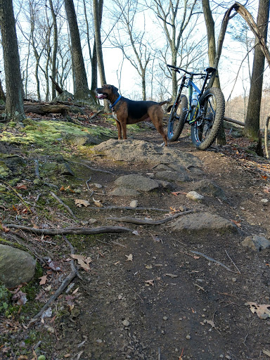 Bicycle Store «Down Cycles», reviews and photos, 2015 Albany Post Rd, Croton-On-Hudson, NY 10520, USA