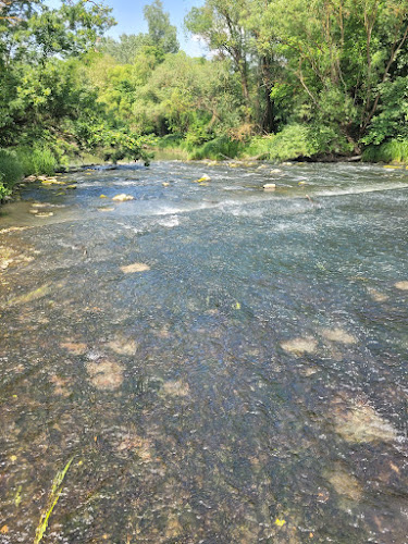 Opinii despre "Kisbukó" în Sonkád - Bolt