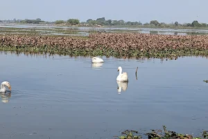 Lakh Bahosi Sanctuary image