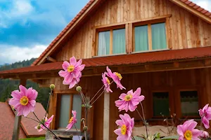 Dolomiti Village image