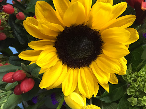 Florist «Emory Village Flowers & Gifts», reviews and photos, 3308 Laventure Dr, Atlanta, GA 30341, USA