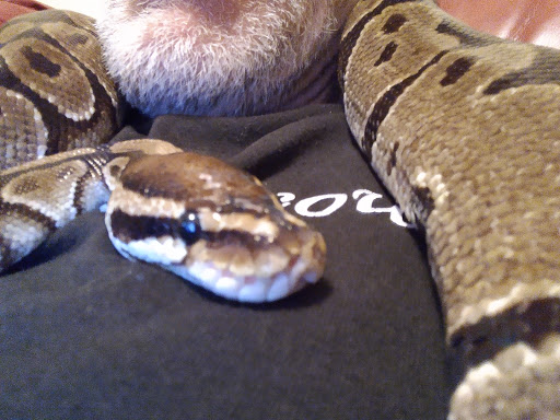 Pet Store «The Pet Works», reviews and photos, 407 4th Ave E, Olympia, WA 98501, USA