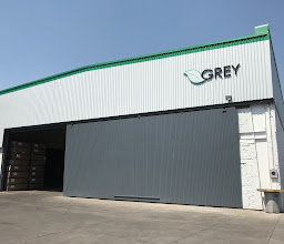 Grey Forestal photo