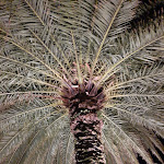 Photo n°1 de l'avis de Bernd.r fait le 19/08/2020 à 19:51 sur le  Hotel Ideal à Limone Sul Garda