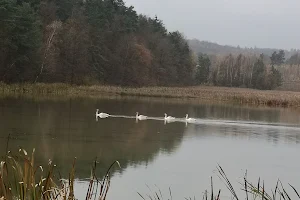 Jezioro w Podlesiu Małym image