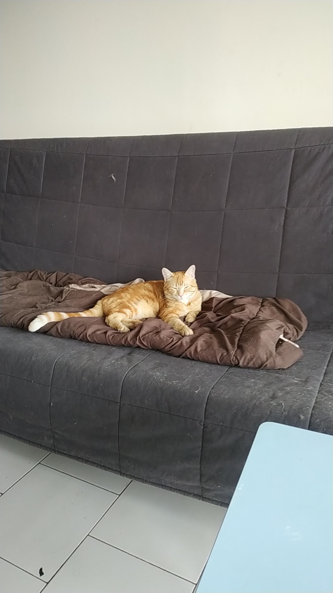 Photo n° 1 de l'avis de Christophe.m fait le 03/05/2019 à 17:02