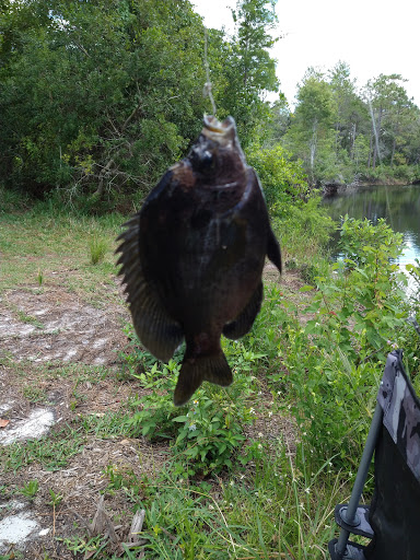 Nature Preserve «Serenova Tract», reviews and photos, 14900 Florida 52, Land O Lakes, FL 34638, USA