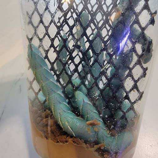 Pet Store «Fin & Feather Pet Center, Inc.», reviews and photos, 5208 Lakeside Ave, Richmond, VA 23228, USA