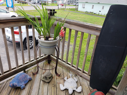 Coffee Shop «Dancing Turtle Coffee Shop», reviews and photos, 58079 NC-12, Hatteras, NC 27943, USA