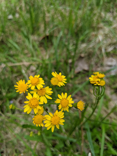 Nature Preserve «Schiff Natural Lands Trust/Schiff Nature Preserve», reviews and photos, 339 Pleasant Valley Rd, Mendham, NJ 07945, USA