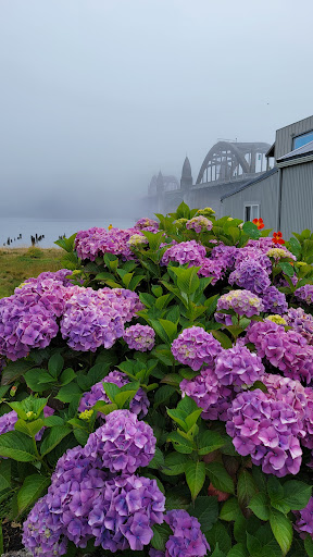 Cafe «Siuslaw River Coffee Roasters», reviews and photos, 1240 Bay St, Florence, OR 97439, USA