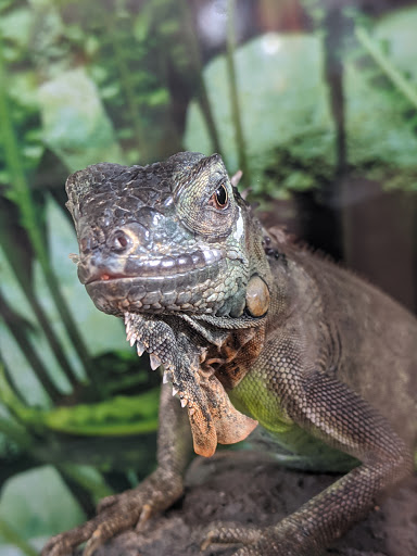 Pet Supply Store «Petco Animal Supplies», reviews and photos, 2005 Crow Canyon Pl, San Ramon, CA 94583, USA