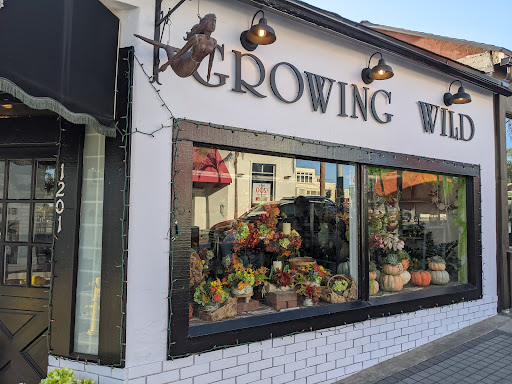 Florist «Growing Wild», reviews and photos, 1201 Highland Ave, Manhattan Beach, CA 90266, USA