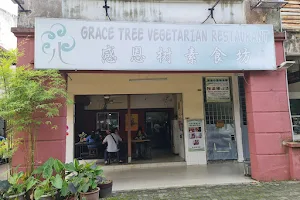 Grace Tree Vegetarian Restaurant image