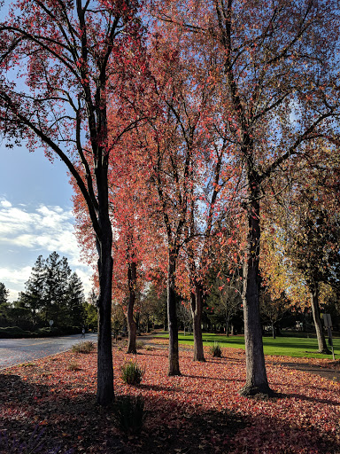 Park «Kevin Moran Park», reviews and photos, 12415 Scully Ave, Saratoga, CA 95070, USA