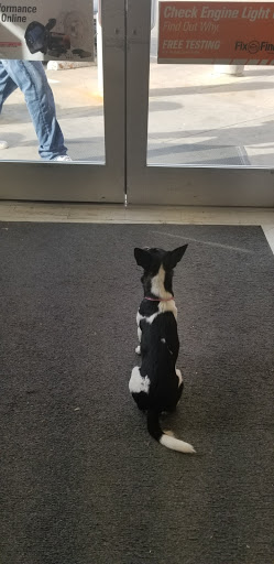 Auto Parts Store «AutoZone», reviews and photos, 1000 Ferris Ave, Waxahachie, TX 75165, USA