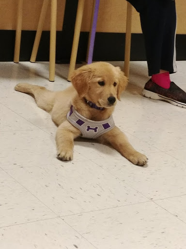 Pet Supply Store «PetSmart», reviews and photos, 7574 Voice of America Centre Dr, West Chester Township, OH 45069, USA