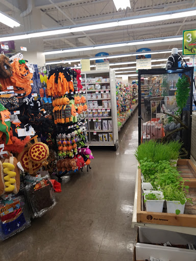 Pet Supply Store «Pet Supplies Plus», reviews and photos, 3644 Long Beach Rd, Oceanside, NY 11572, USA
