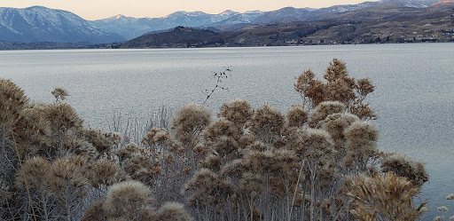 Vineyard «Mellisoni Vineyards», reviews and photos, 3155 US-97 ALT, Chelan, WA 98816, USA