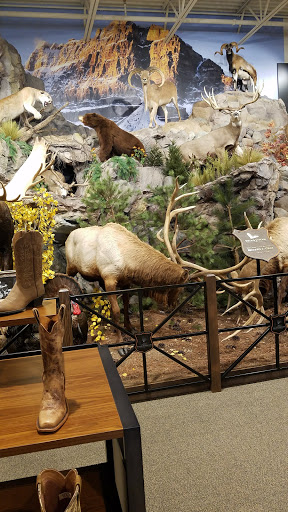 Outdoor Sports Store «Field & Stream», reviews and photos, 24600 Katy Fwy Ste 1100B, Katy, TX 77493, USA