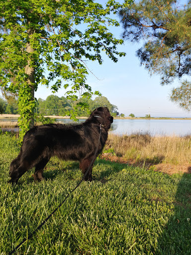 Tourist Attraction «Wetlands overlook park», reviews and photos, 4020 11th St, North Beach, MD 20714, USA