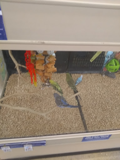Pet Supply Store «PetSmart», reviews and photos, 5812 Youngstown Warren Rd, Niles, OH 44446, USA